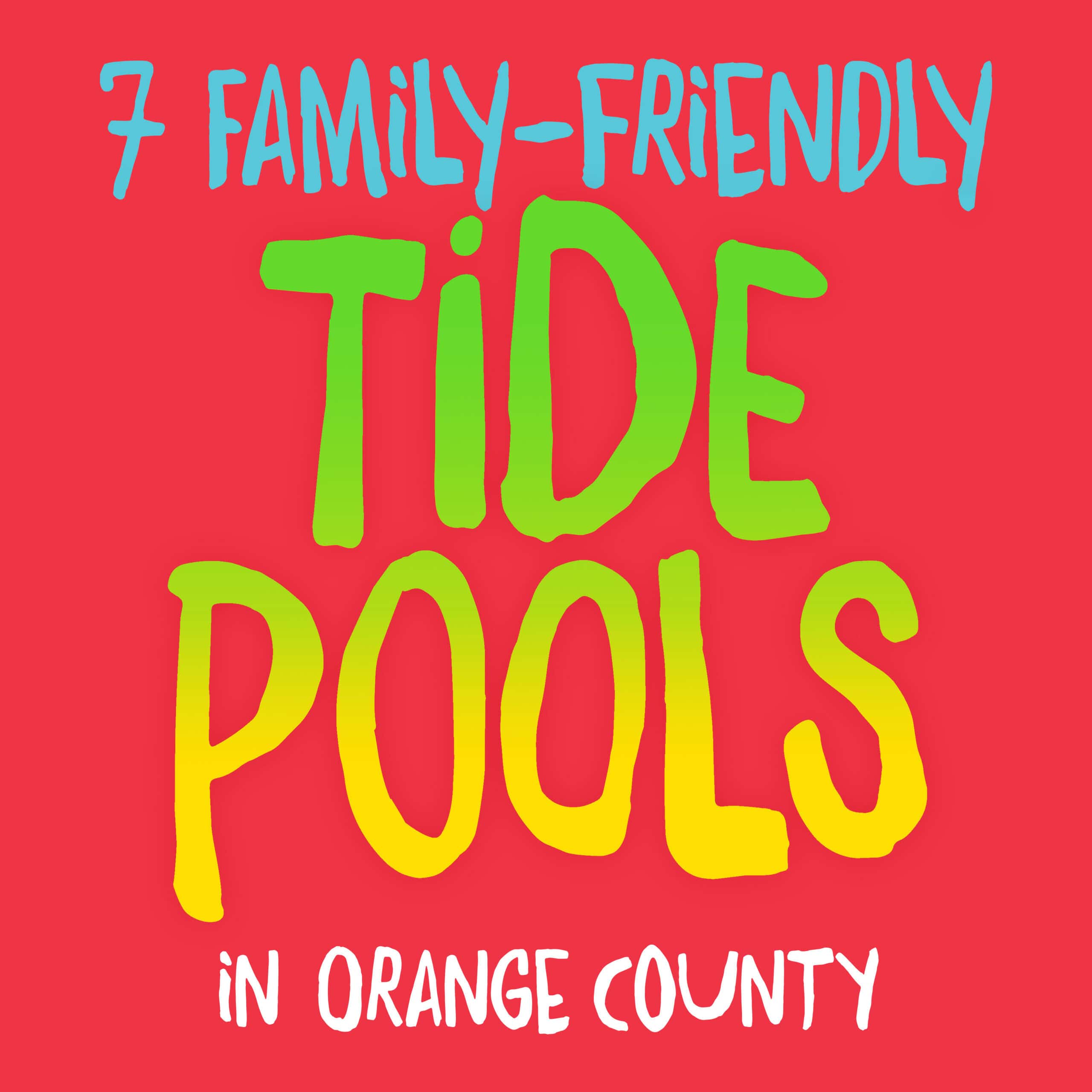 11 Family-Friendly Tide Pools in Orange County