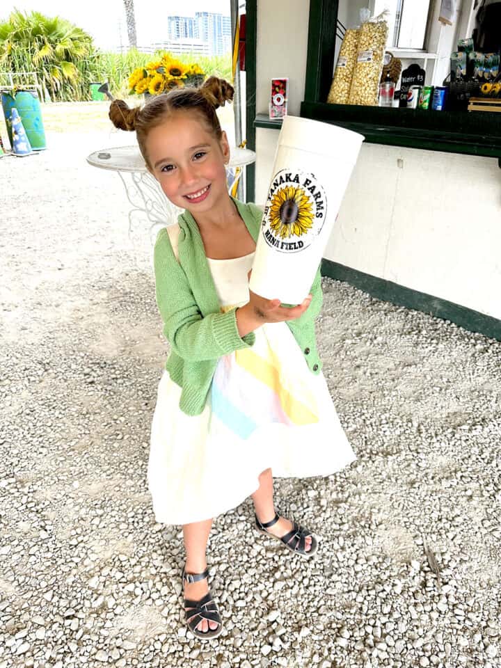 UPick Sunflowers at Hana Field in Costa Mesa Popsicle Blog